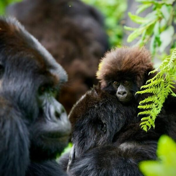 jeremy-stewardson-Jg2OYq3nRwE-unsplash