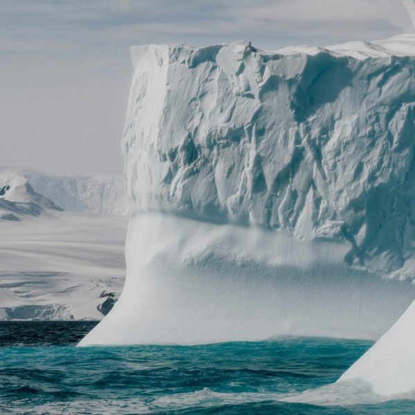 tetiana-grypachevska-yh4UNHxc4qU-unsplash