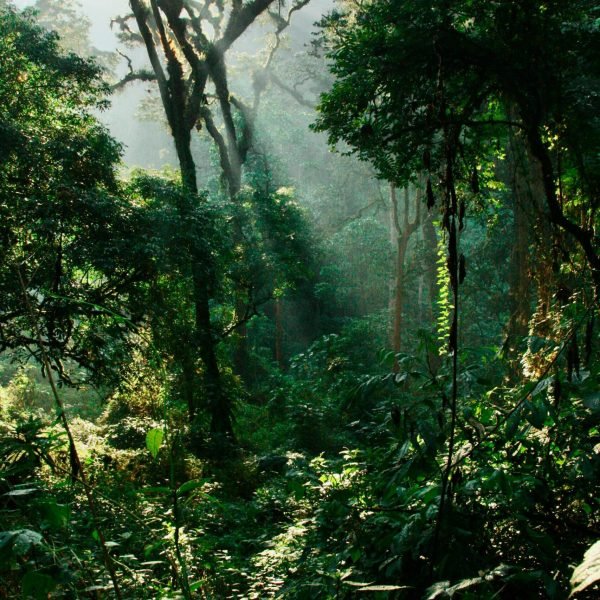 william-pietermans-vQNEm_BTNi4-unsplash